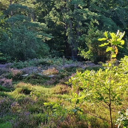 아파트 Nordheimstrasse-150-wohnung-6 쿡스하펜